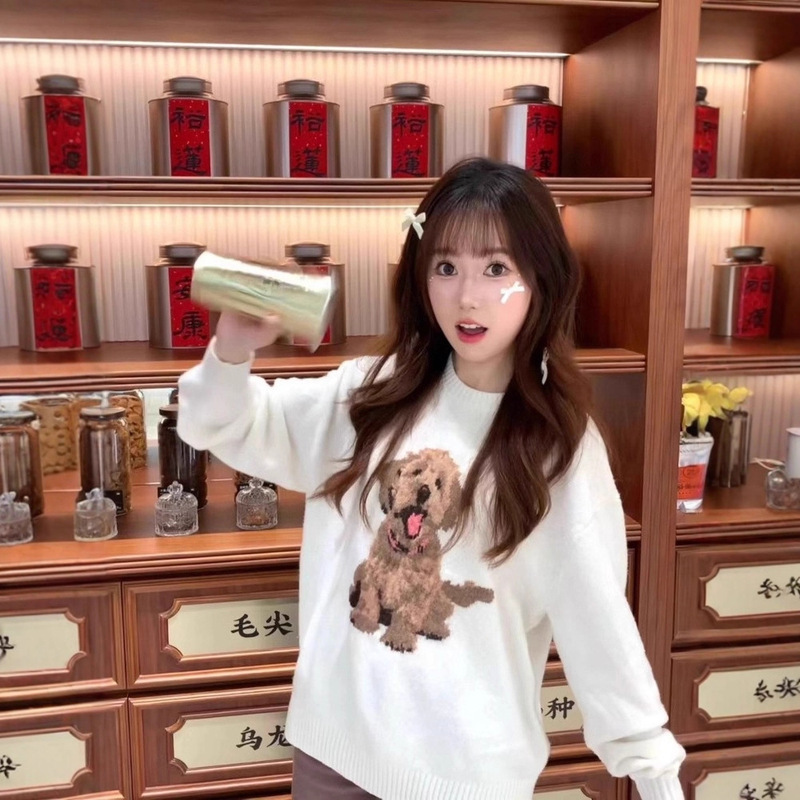 Hollister Little Seagull Jacquard Golden Retriever Puppy Cartoon Round Neck Knitwear Loose Lazy Style Knitwear for Women