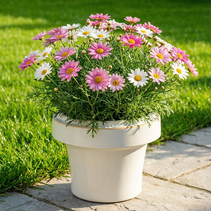 8 pulgadas de imitación de cerámica mariposa orquídea de orquídea de Kota simple tazón internacional más plantas creativas decoración para el hogar planta verde