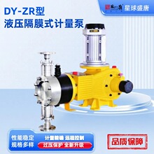 DY-ZRҺĤʽӋüș߾ʽˮ