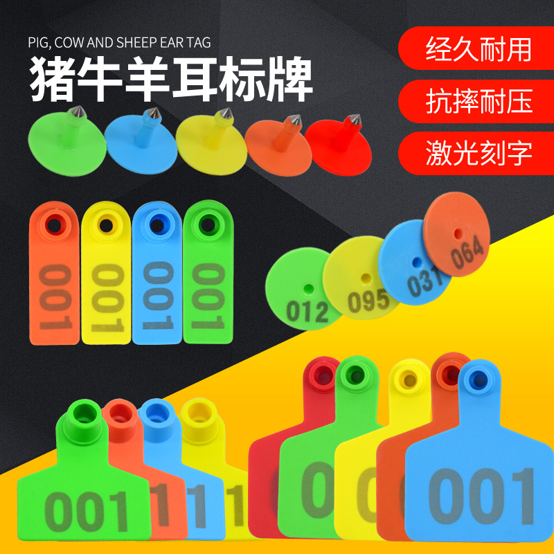 Etiqueta de oreja de cerdo, ganado y oveja con palabras Etiqueta de oreja de oveja etiqueta de número Etiqueta de oreja de oveja con palabras Etiqueta de oreja de oveja