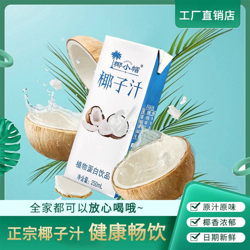 Source Factory Dropshipping Coconut Juice 250ml 10 Bottles Meal Replacement Coconut Milk Flavor Beverage Enjoy
