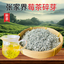 莓茶张家界特级野生新茶龙须芽尖碎芽湖南永顺藤茶梅茶粉末润咽喉