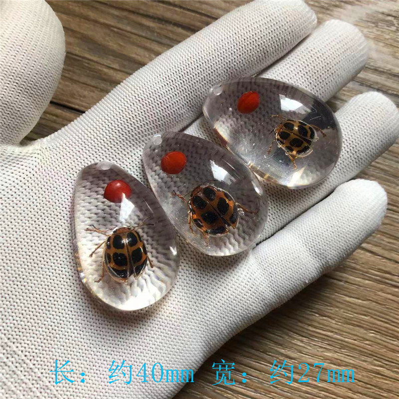 儿童挖掘考古昆虫标本 合成树脂琥珀昆虫 散装水滴盲盒标本现货|undefined