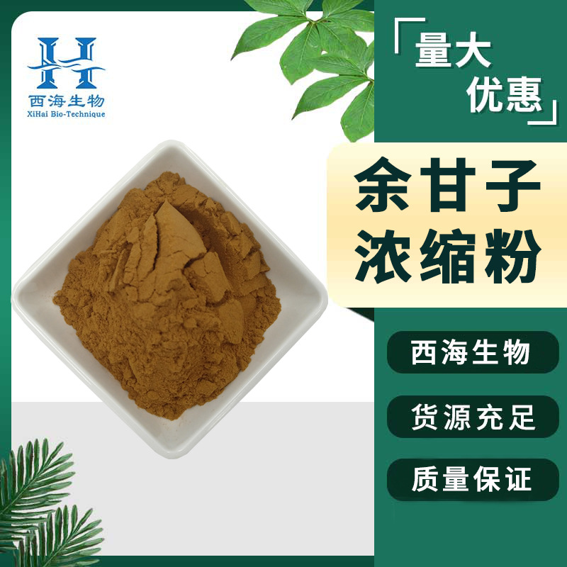 水溶性99%余甘子浓缩粉 食品保健原料余甘子提取物现货包邮余甘子