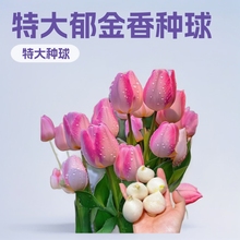 �S�����l�M��������N���ش�N����ļ��_��ˮ���ͺ��̓�����