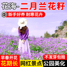 �����m���N���T��˶������׻��޸�ͥԺ���@���^�ͺ���ꎻ��ܷN��