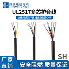 �����J�CUL2517 28AWG��Ӿ� FEP�^�� ��о�o����| ����Ȳ��侀