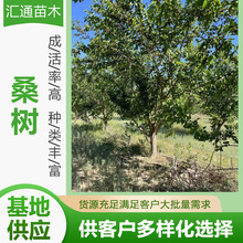 10&mdash;20����ɣ�����ɣ�ؘ���������Ե��Թ�ɣ��������ԬF؛