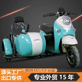 电动摩托车;电动三轮车