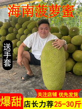 正宗海南菠萝蜜一整个新鲜水果包邮孕妇当季干苞黄肉波罗密整箱