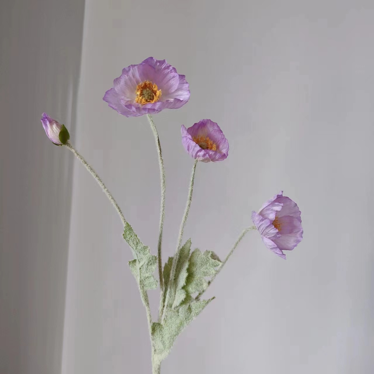 연한 보라색