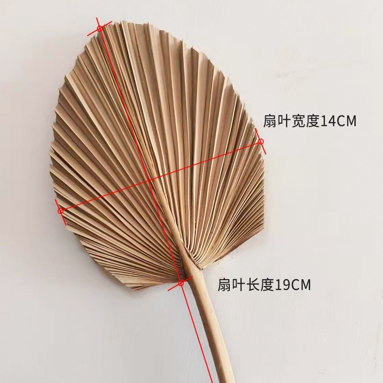 Pu fan hoja girasol fan hoja grande flor seca hoja de palma ventana vino fiesta arte colgante de pared decoración boda Arco de la boda diseño