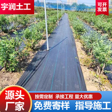 pp防草布抗老化透气遮草农用果园果树盖草布黑色编织果园除草布