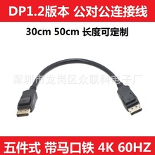 DP1.24K̾XC@ʾBӾ @C