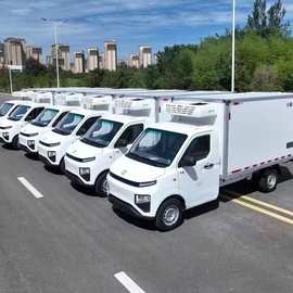 电动冷藏车（小微卡） 果蔬冻品厢式冷链运输货车