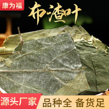 布渣叶 蓑衣子破布叶麻布叶 中药材布渣叶 各种冷背 量大从优