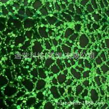 �F؛���l��ɫ����֩��W���}�Q���b�ֹ�ᘿ���ˇ���ϑ��Ⲽƥ�b�