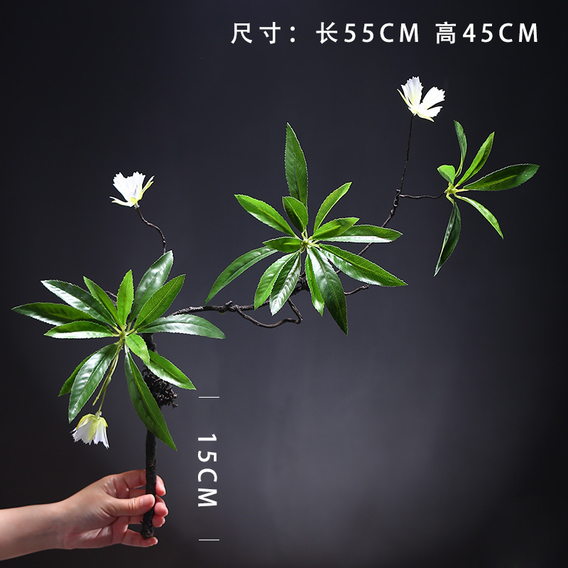 스몰 사이즈 수심 ficus-모양 2