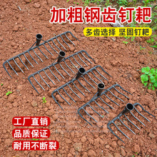 圆齿耙子老式铁耙子家用田地耙草种地工具猪八戒九齿钉耙搂草翻土
