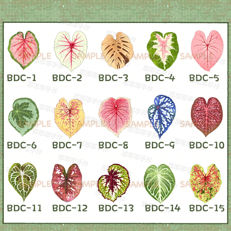 Bdc-1 refrigerator magnet