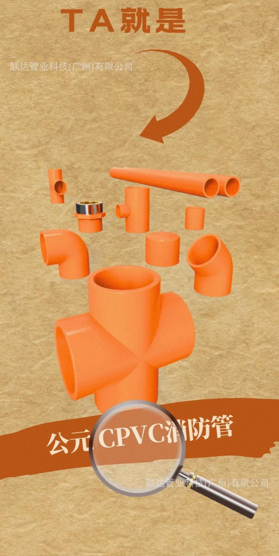 IMG_4545(20231214-231922)