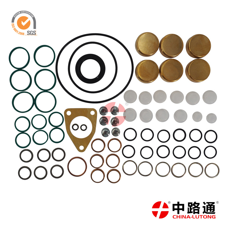 汽车油泵修理包 2 417 010 001(P3000)修理包