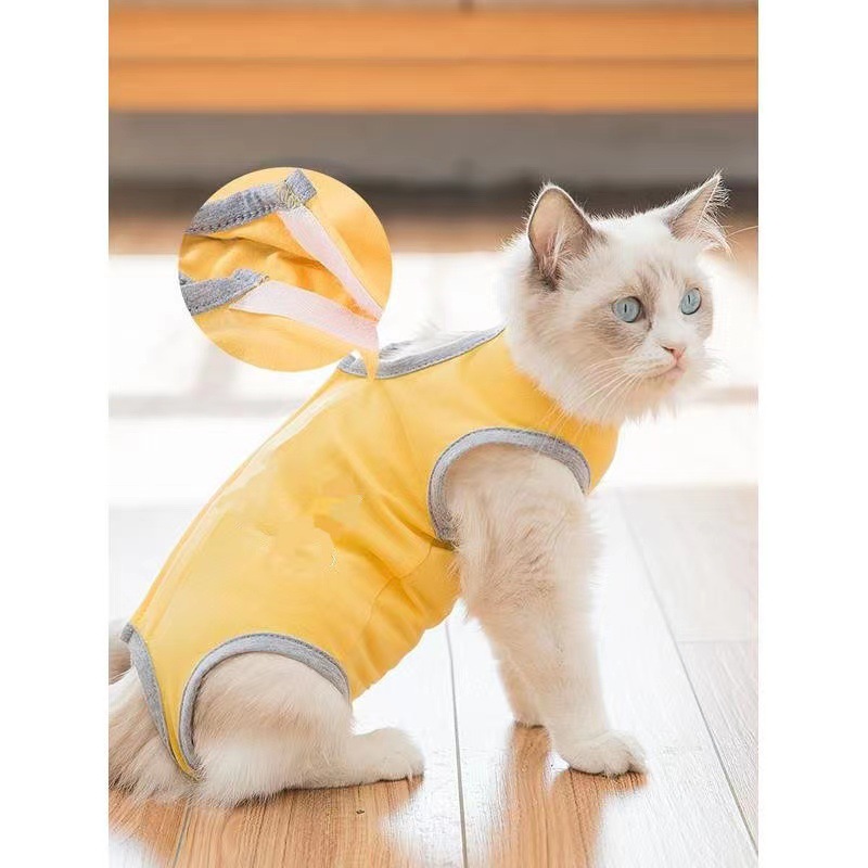 Cat and dog sterilization clothing female and male cat surgical clothing weaning anti-hair loss postoperative anti-licking thin pet clothing