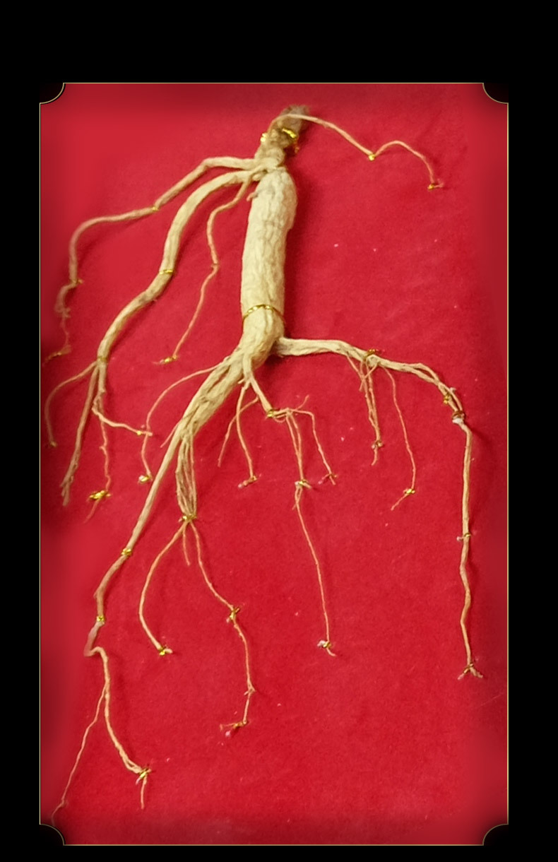 Changbai Mountain Six Treasure Herbal Gift Box with Ginseng Red Ginseng American Ginseng Deer Antler Slices Lingzhi and Dendrobium key features