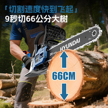 �n���F�����_������䏴��R��18��20������ě_����䏼��÷�ľ�