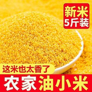 ��5��r�����SС���Bθ��ŴС��������s�Z������С�S��ɢ�b��