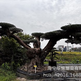 ���iչ�����ϙ�����ʹ��Ř����ϙ�޴����ϙ�e��ͥԺ���ϙ��