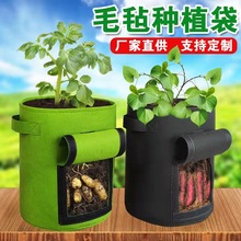 厂家现货毛毡土豆种植桶 无纺布毛毡马铃薯种植袋 植物生长袋