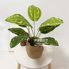 厂家直销 仿真植物 塑料假花 植物墙配材 过胶手感叶 龟背叶 绿萝