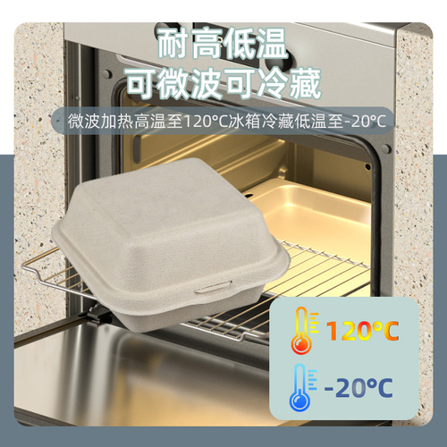 Wholesale disposable pulp lunch boxes burger boxes combined picnic green rice cake packaging boxes square with lid baking cake boxes