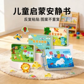 其他益智玩具;玩具挂图;早教闪卡