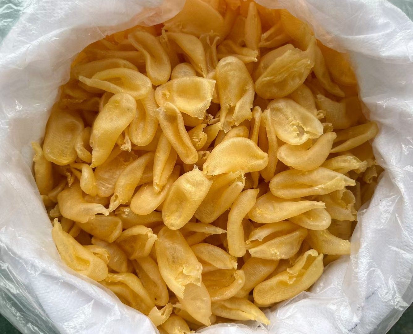 Pearl Fish Maw Zhen Zhu Jiao Dried Fish Bladder Thick Cut Collagen Rich Soup Ingredient 500g overview