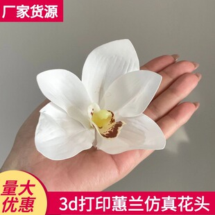 �����ޥ�m���^�ֹ�����l�A��c���ֶY��������diy��ӡ�ٻ��^