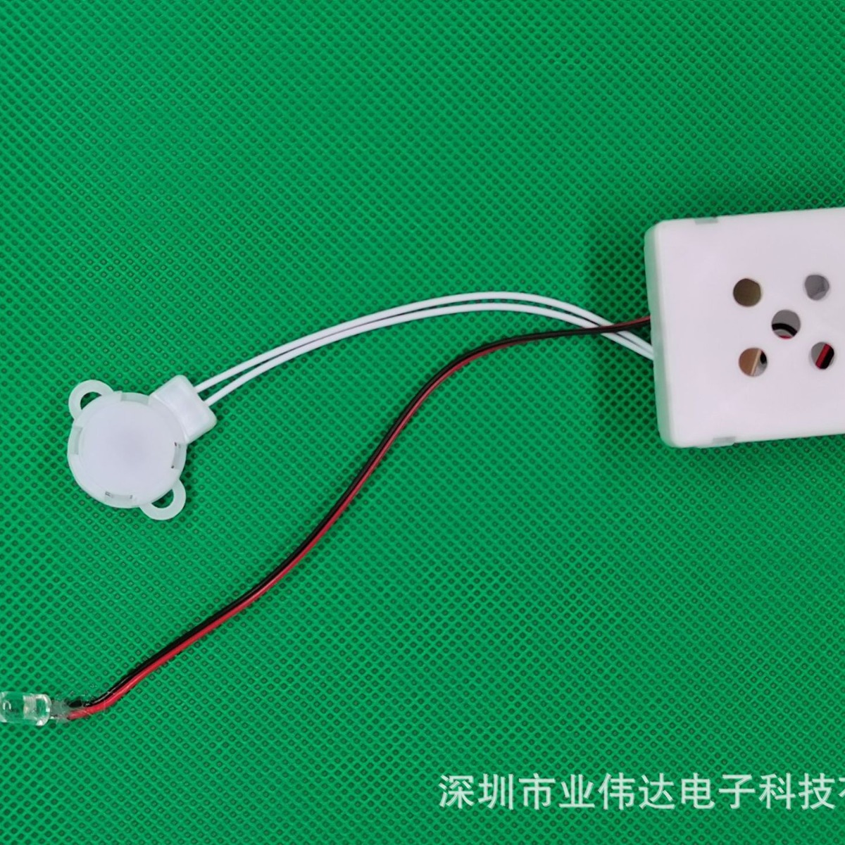 2024-03-10 09:07:56.jpg