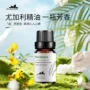 植物修复样品抗菌精油