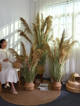 ��Ȼ�JȔ�ɻ��Gֲ�[���ݼٻ��쾰ֲ�����Ե���Ҿ��b[��