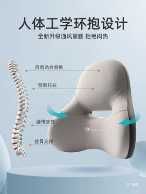Waist support: Cushion for Driving, Main Driver's
