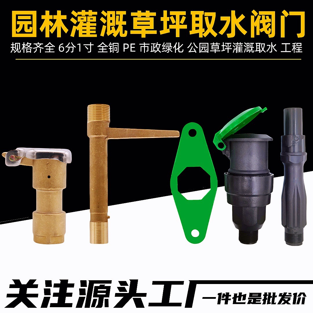 pe取水阀市政绿化园林取水器花园灌溉地插杆铜取水器6分1寸取水阀