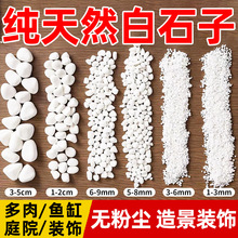 ��ʯ��ͥԺ�쾰�~����Ȼ�Z��ʯ�쾰�·�B�����������w�������ʯ