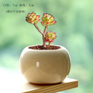 ⻨迨ͨͺsմɱСɐۼb⻨