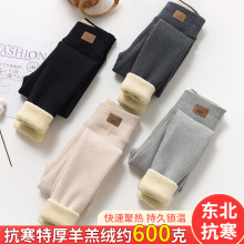 东北冬季特厚羊羔绒长裤纯棉保暖裤女加绒加厚高腰收腹大码打底裤