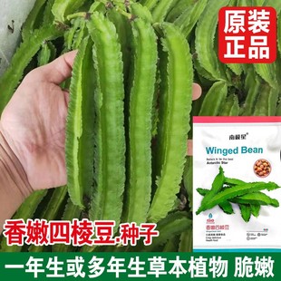 ���ⶹ�N���ĽǶ��N���������ʵ۶����ѷN�����߲˷N�����ⶹ��
