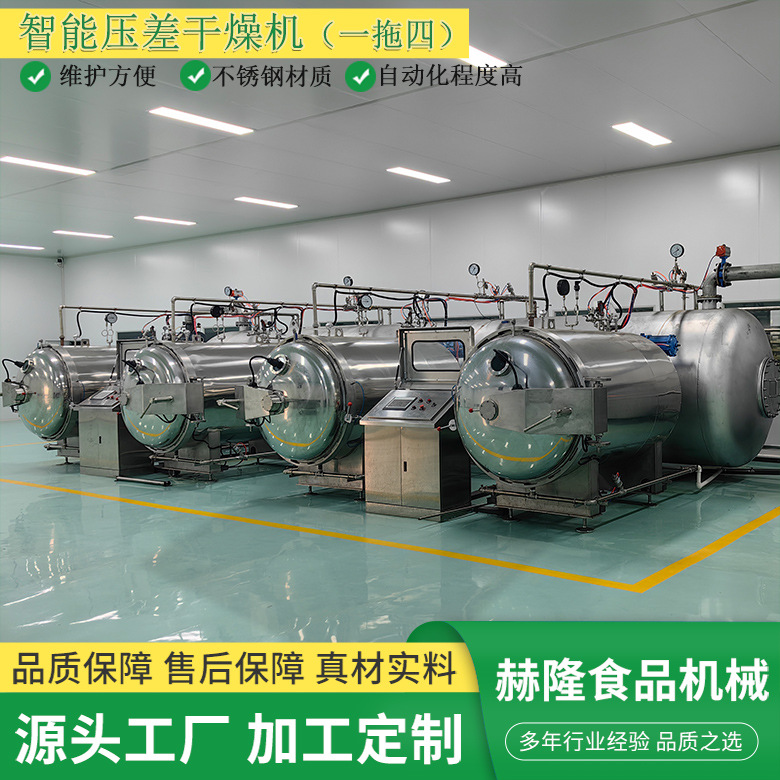 厂家供应苹果脆片真空低温干燥机水果脆反压差真空智能干燥机