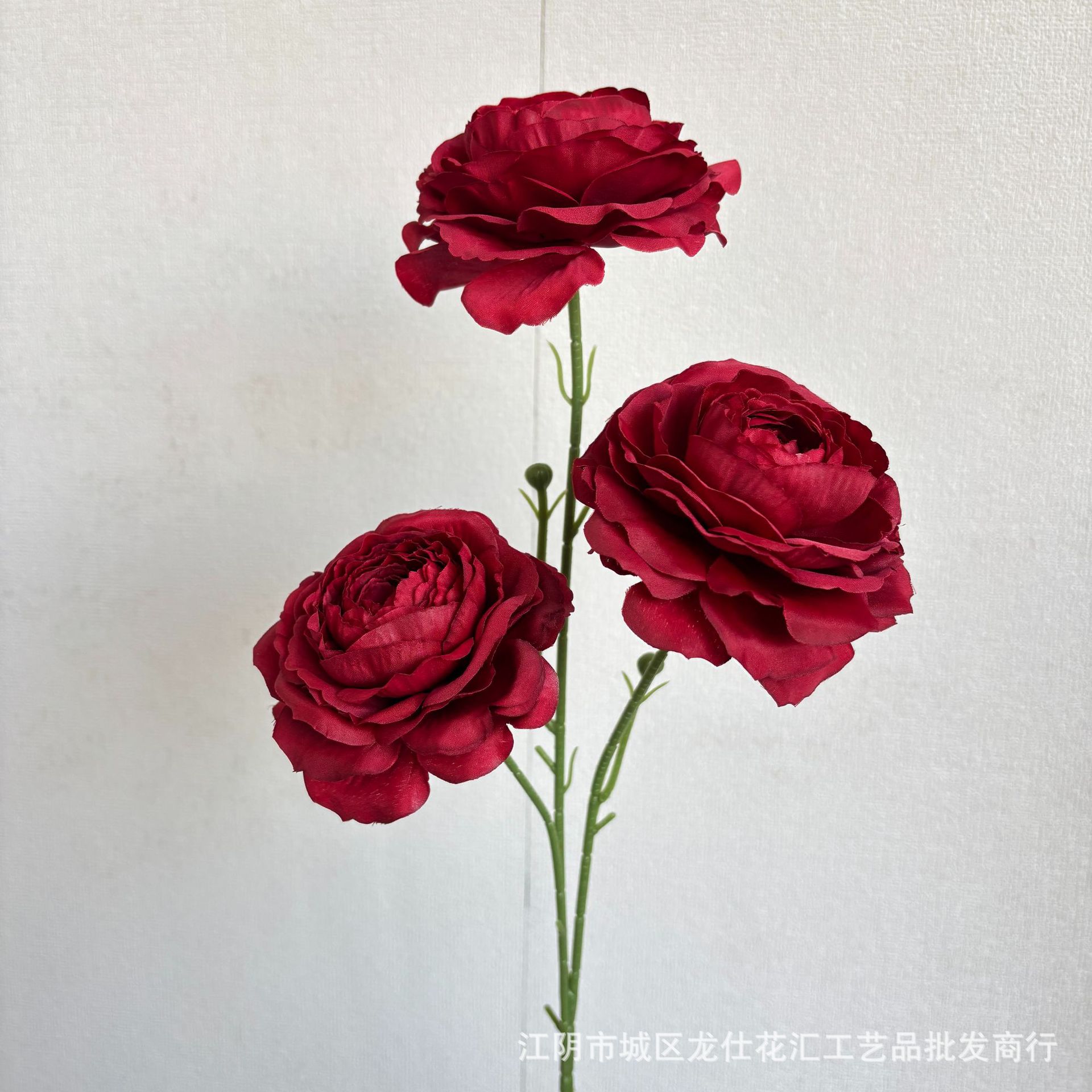 사랑스러운 모습 공개