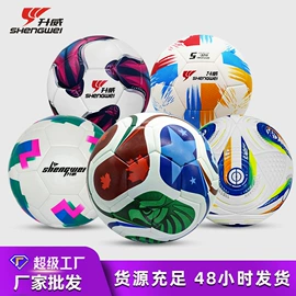 篮球;足球;羽毛球拍