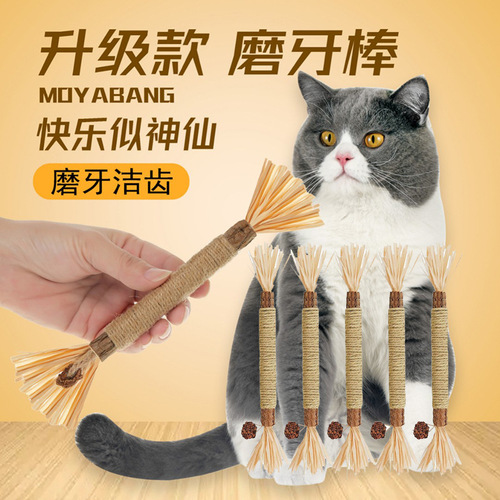 Insect gall fruit stem plus wood polygonum stick chewing combination new cat teething toy cleans teeth, removes tartar and freshens breath